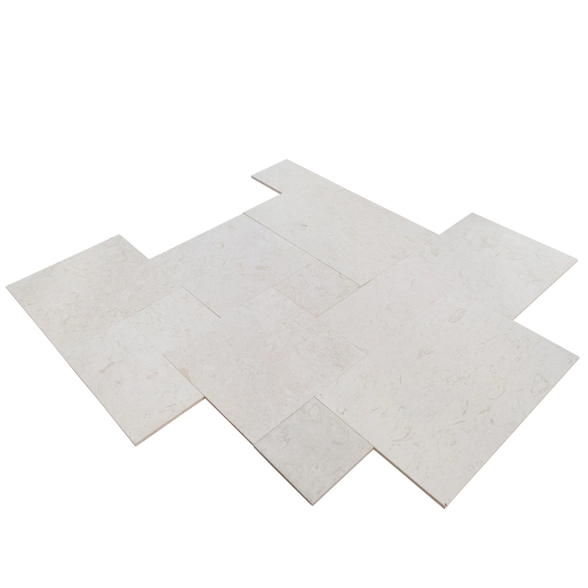 Shell Stone White Fossil Limestone Pattern Set Tiles Floor and Wall Tile