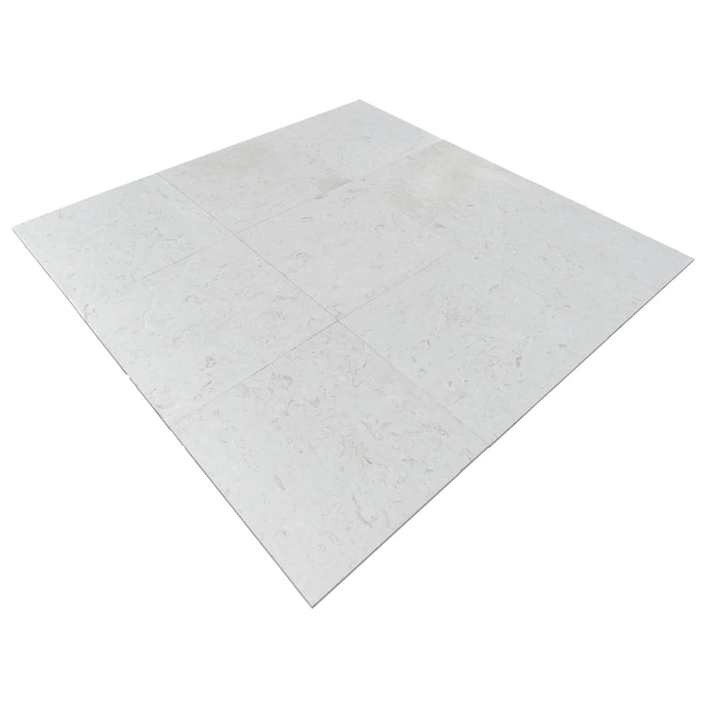 Shell Stone White Limestone Tiles Floor and Wall Tile