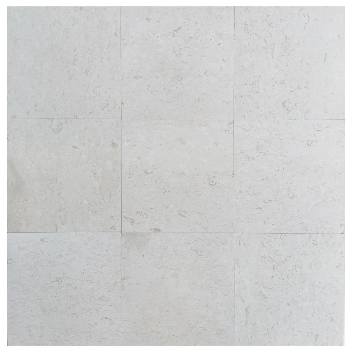 Shell Stone White Limestone Tiles Floor and Wall Tile, image size:1200x1200