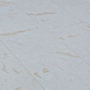 Shell Stone White Tumbled Limestone Pavers