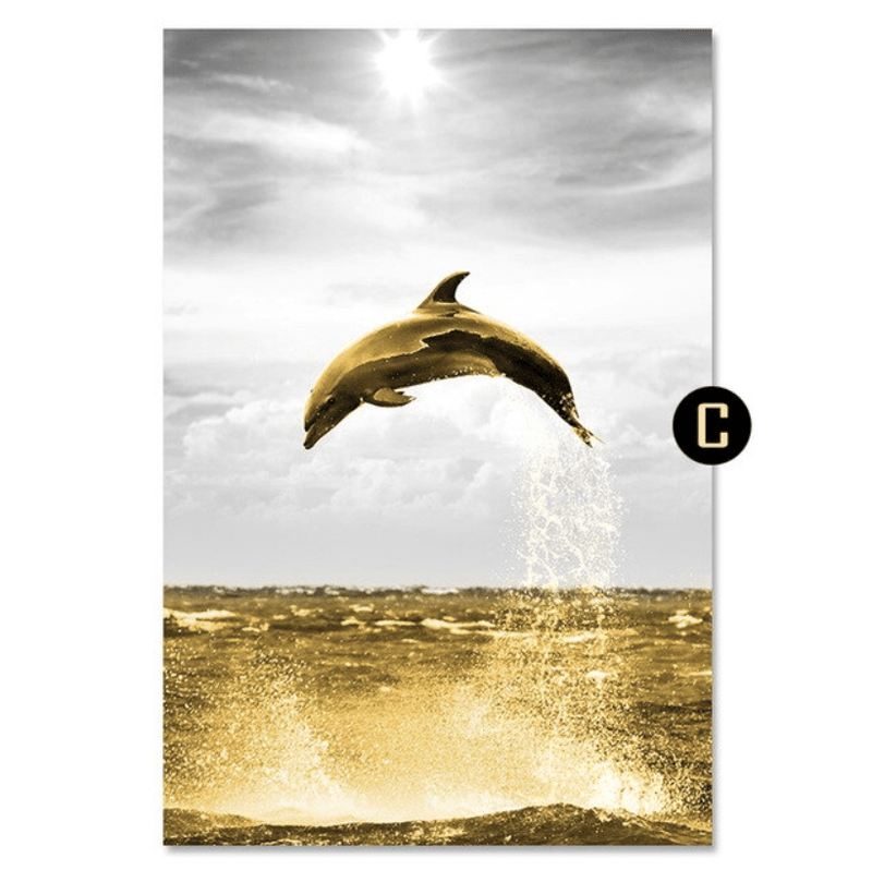 Shining Dolphin Canvas