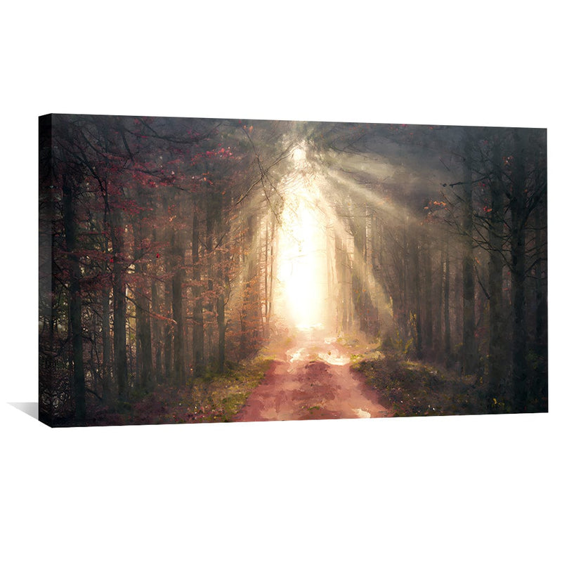 Shining Light Through The Forest Canvas