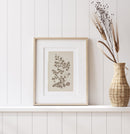 Antique Ferns Set of 4 In French Gray and Green