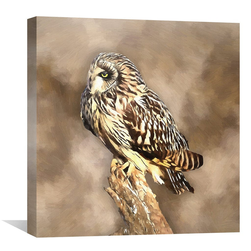 Short Eared Owl Canvas