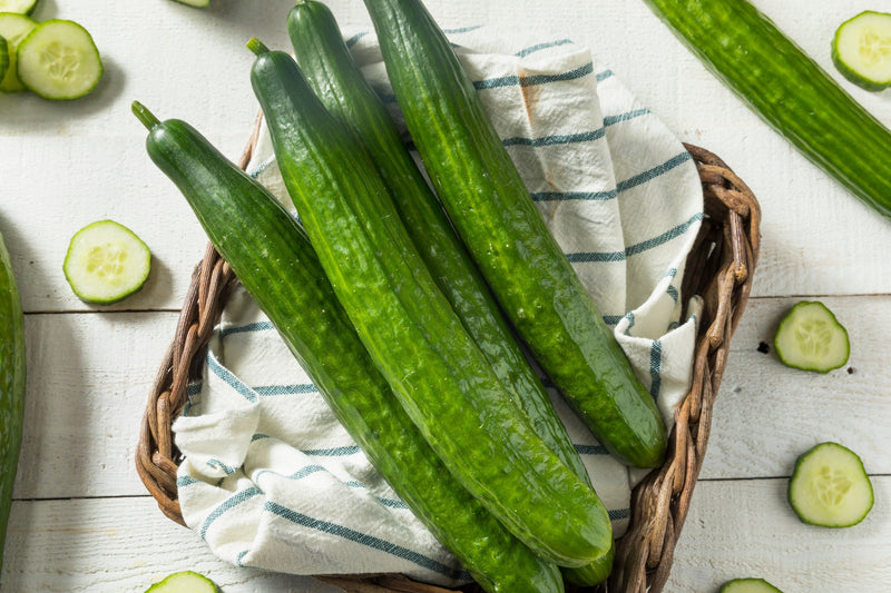 30 ENGLISH CUCUMBER Cucumis Sativus Burpless Fruit Vegetable Seeds