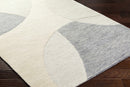 Cassiopeia Gray & Beige Area Rug