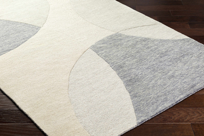 Cassiopeia Gray & Beige Area Rug