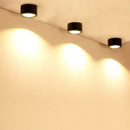 Silver 15w cob led downlight for exhibition and decorative lighting by Decorbites