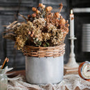 Silver Metal Willow Mixed Zakka Planter