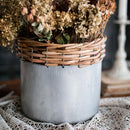 Silver Metal Willow Mixed Zakka Planter