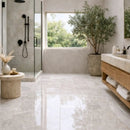Silver Mystique Polished Marble Tiles 6x12