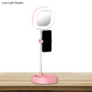 GobekUsa LED Mirror Light - Metallic Black/Pink/Blue Finish, Simple Style, USB Port, Fill-in Lighting