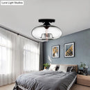 GobekUsa Simple Style Glass Oval Flush Mount Lamp with 1 Light - Clear/Amber/Smoky Ceiling Fixture for Hallway