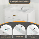 Single Bathroom Vanity with 2 Drawers and 1 Door-White