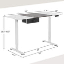 Height Adjustable Electric Standing Desk with USB Charging Port by LJGDeals