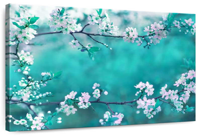 White Cherry Blossoms In Japan Wall Art