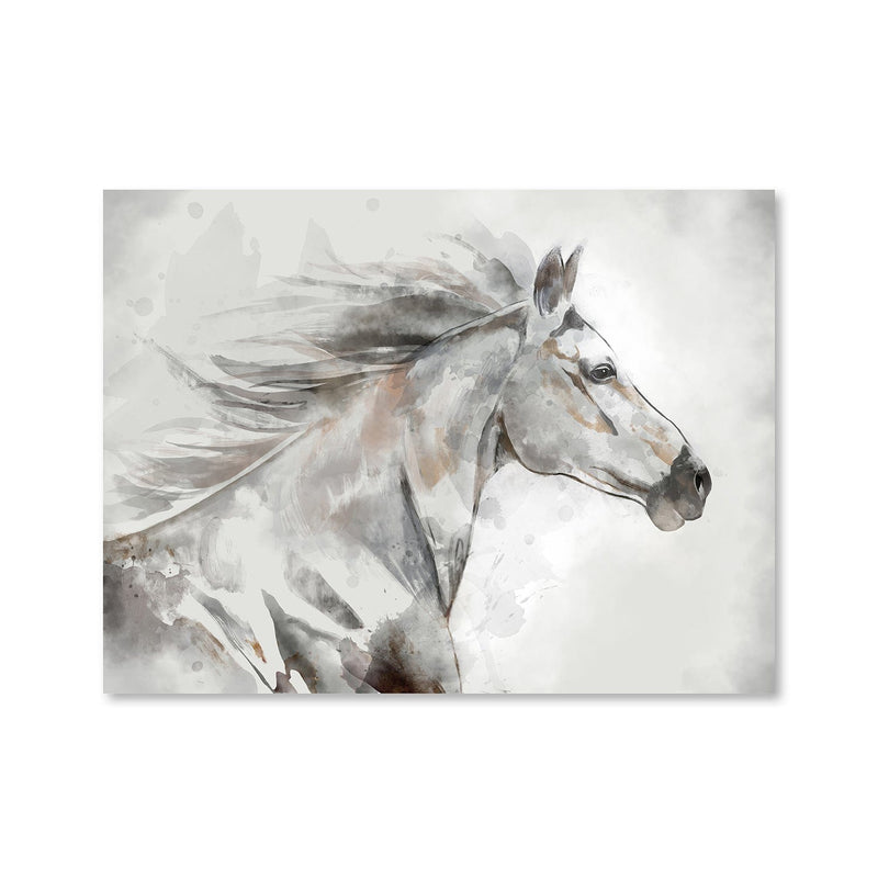 Sketched Stallion Canvas