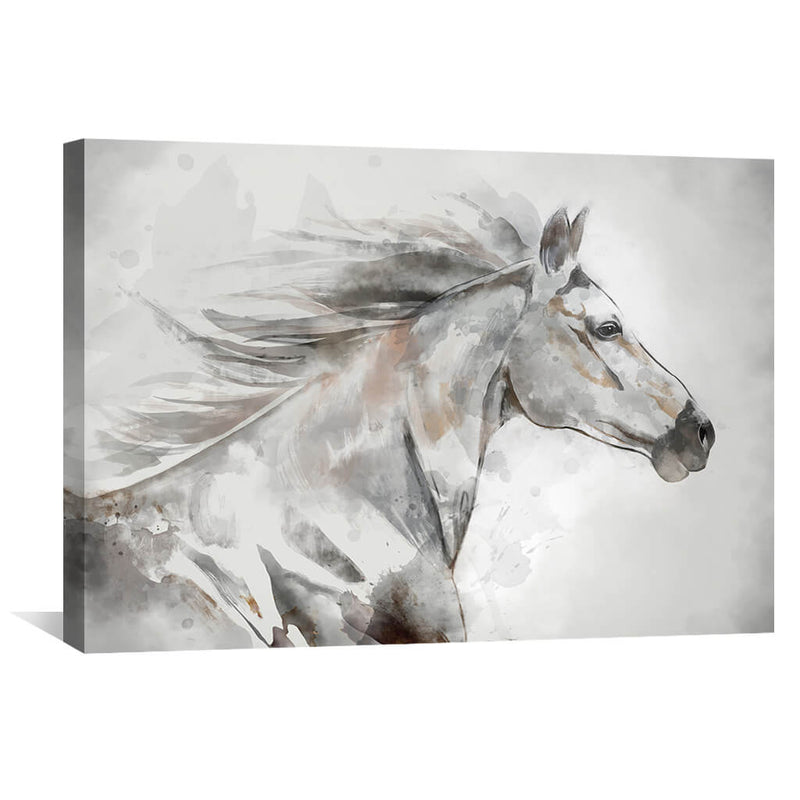 Sketched Stallion Canvas