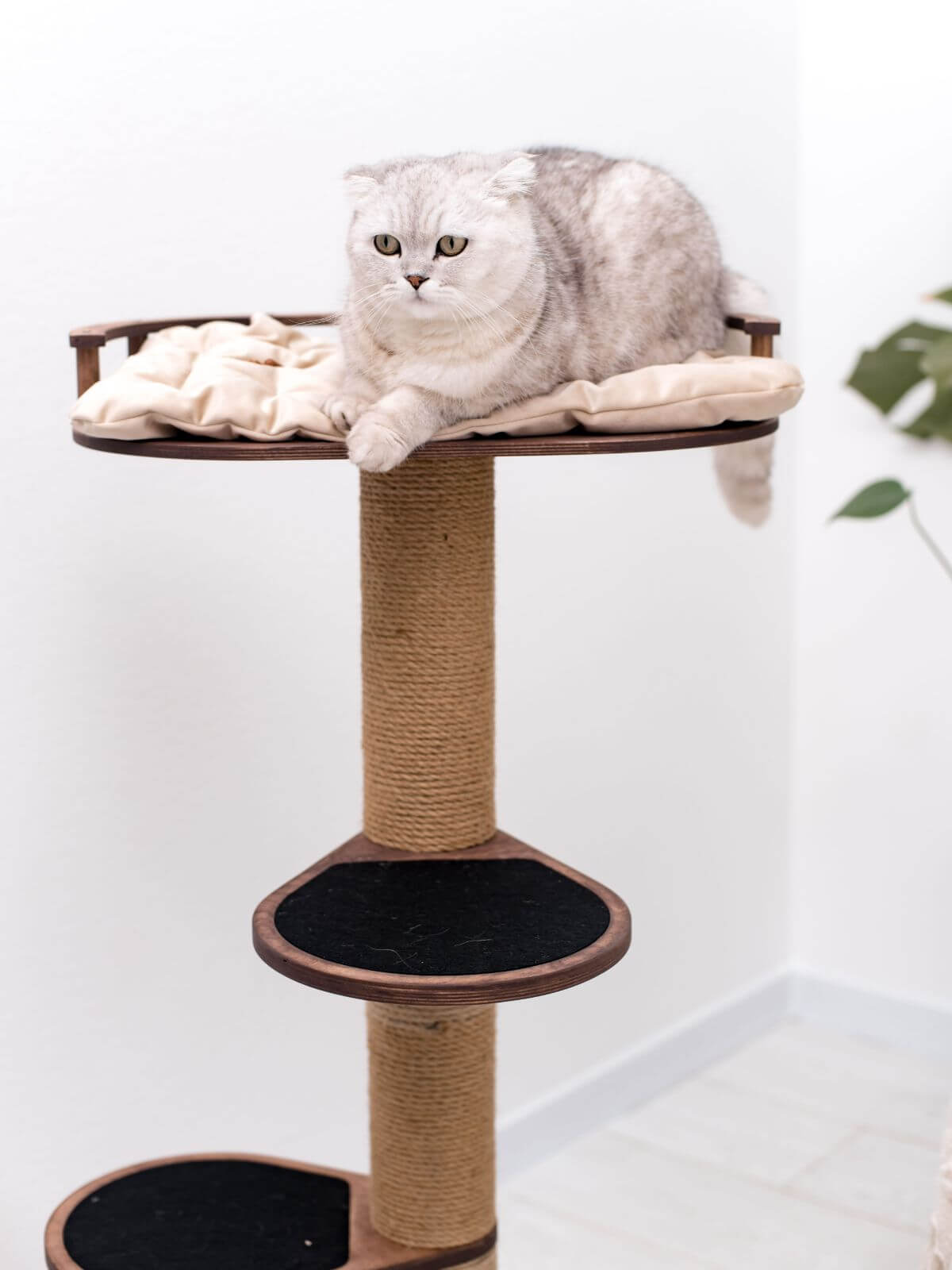 Small Cat Tree, photo 7 of 7