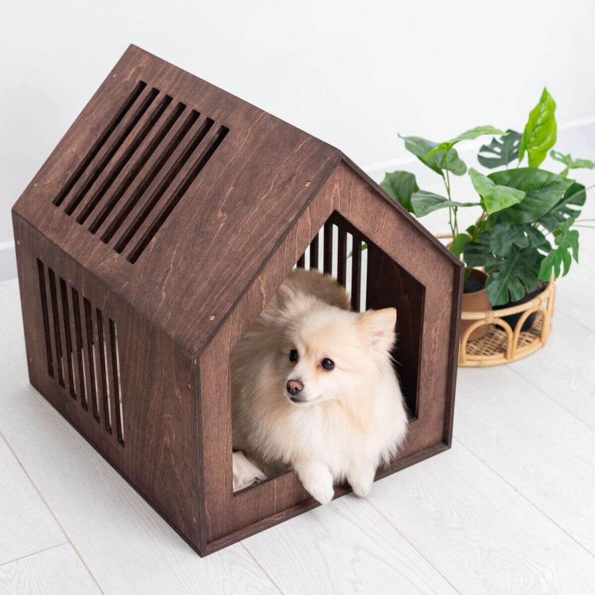 Small Indoor Dog House, photo 2 of 16
