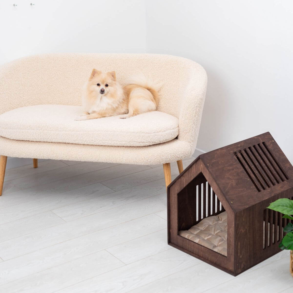 Small Indoor Dog House, photo 6 of 16