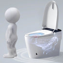 Smart Auto Dual Flush Tankless Toilet With Heated Bidet, Auto Open And Close (SAK37415)