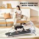 Smart Pet Treadmill With Adjustable Speed For Small And Medium Dogs (SAK72537)