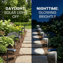 SmartYard Solar LED Pathway Lights 30 Lumen Modern Down Light , 6-Pack