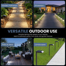 SmartYard Solar LED Pathway Lights 30 Lumen Modern Down Light , 6-Pack