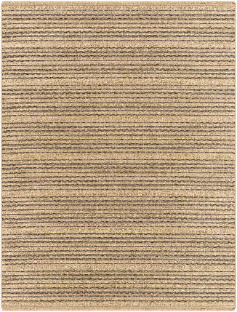 Aphea Indoor & Outdoor Rug