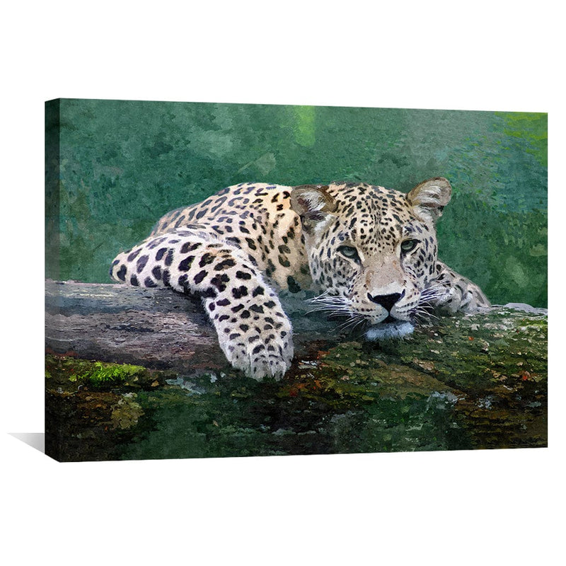 Snow Leopard Canvas