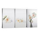 Snowdrop Flowers Canvas
