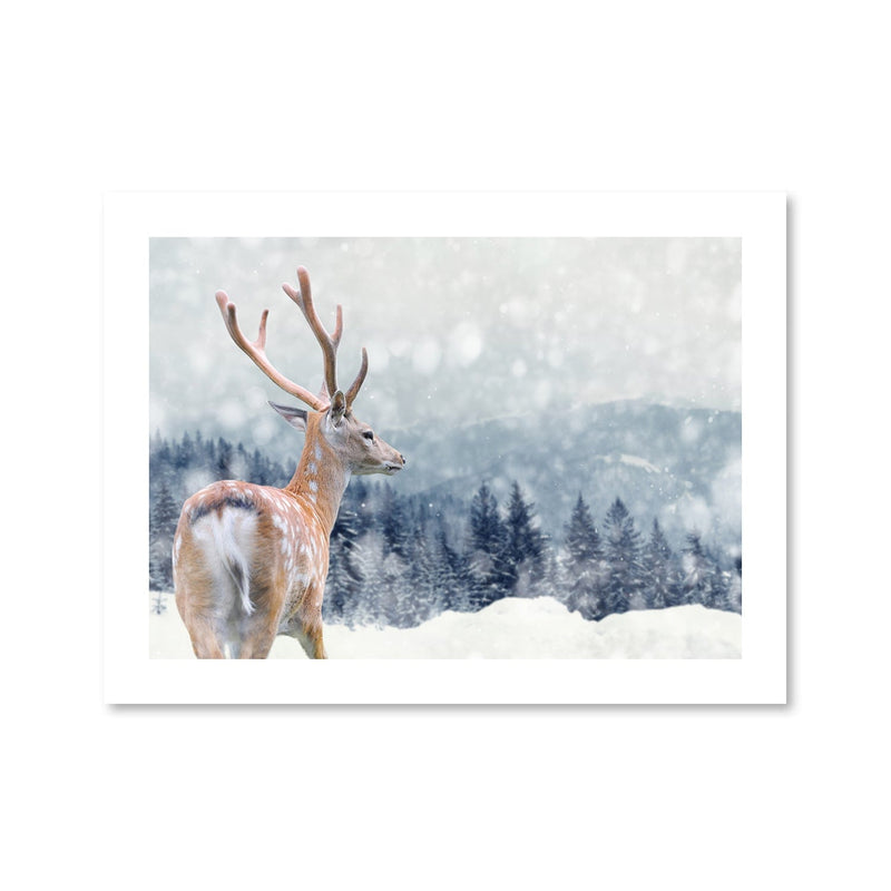 Snowy Deer Print