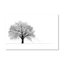 Snowy Willow Canvas