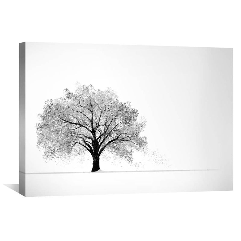 Snowy Willow Canvas