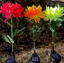 Solar LED Light Artificial Chrysanthemum Flower (3 Pack)