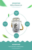 GobekUsa Solar Mason Jar Fairy Lights for Garden Decoration