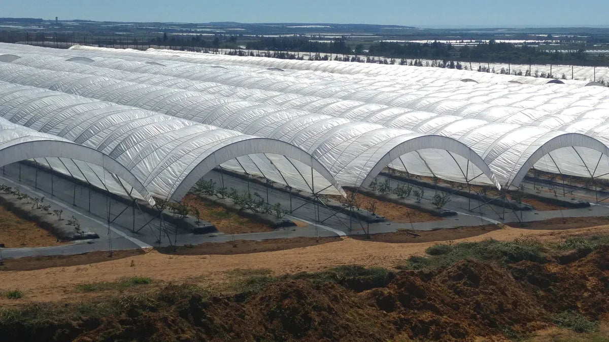 Bootstrap Farmer Greenhouse Woven Plastic 8 mil- Solarig 156, photo 7 of 9