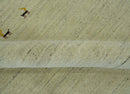 Solid Plain Beige and Charcoal Hand loom 4.6x7 wool area Rug by The Rug Decor