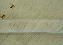 Solid Plain Beige and Charcoal Hand loom Multi size wool area Rug
