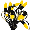 Solid Yellow Lights by Lee Display