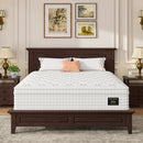 14 Inch Hybrid Mattress with Memory Foam Pressure Relief
