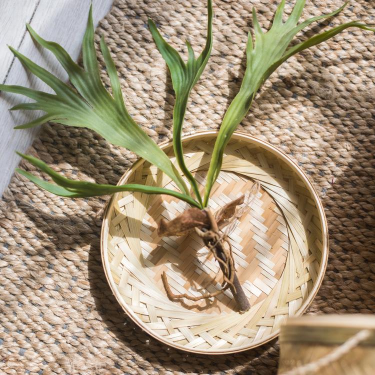 Southeast Asia Round Bamboo Tea Box Jar