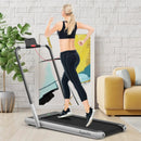 2-in-1 Folding Treadmill with Remote Control and LED Display-Silver by LJGDeals