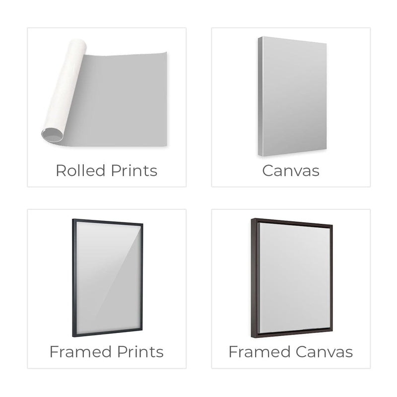 Spectral Bands Canvas