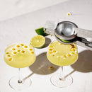 Raye Angled Crystal Coupe Glasses Set of 4 by Viski
