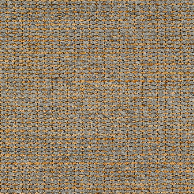 Riki Gray Area Rug