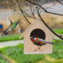GobekUsa Squirrel Feeder Birdhouse Kit with Hummingbird Camera