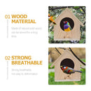 GobekUsa Squirrel Feeder Birdhouse Kit with Hummingbird Camera