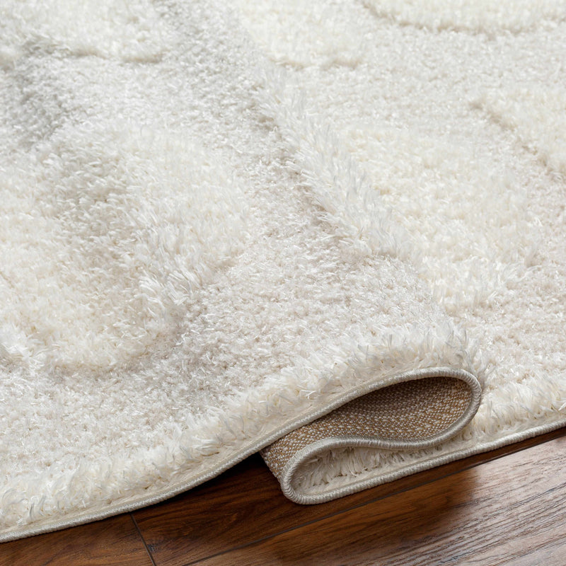 Dason Cream Area Rug - Clearance